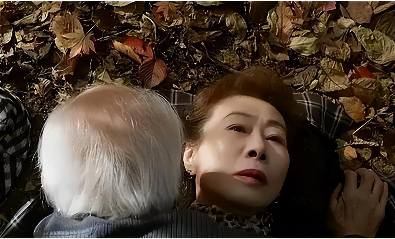 独居老人所面临的困境,80岁独居老人最好的解决方法