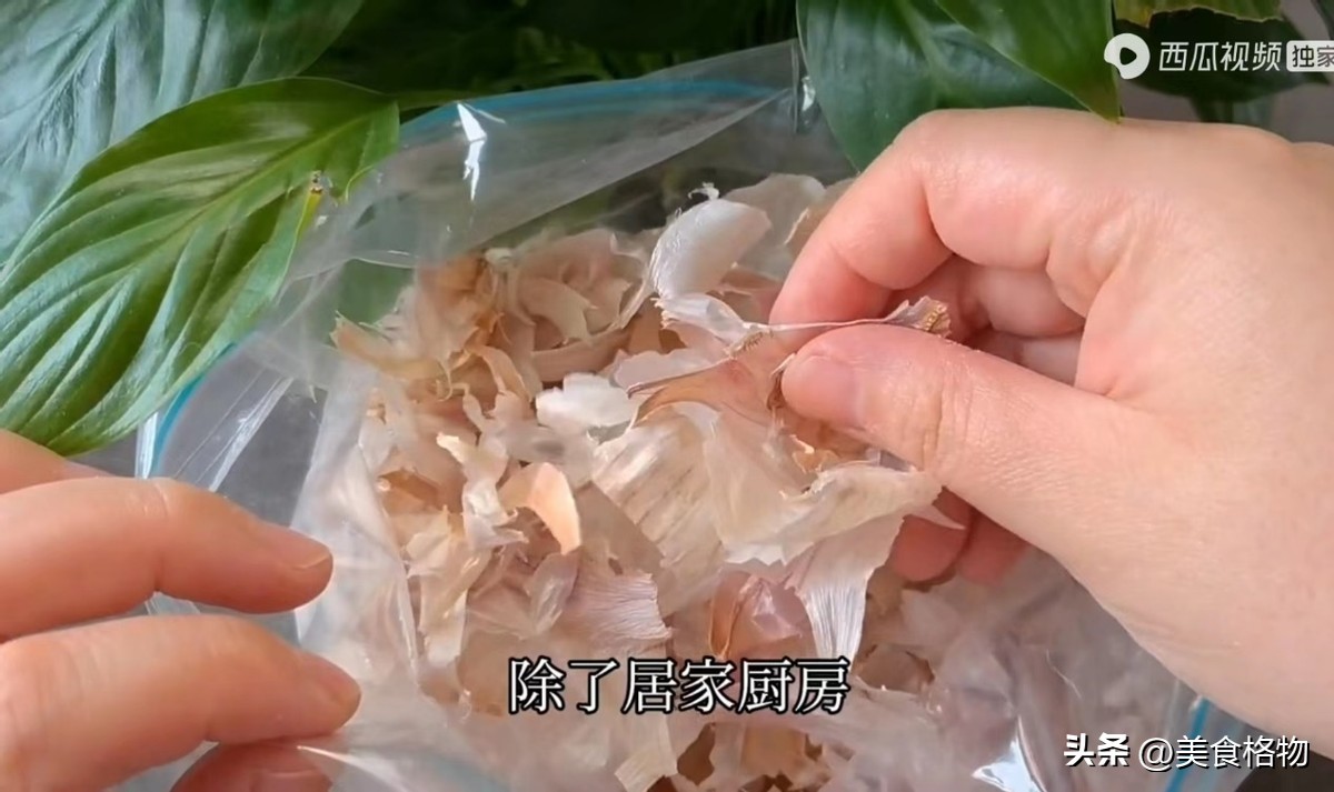 花盆里撒一把什么花都好养,花盆里埋一勺它养花一年不用施肥