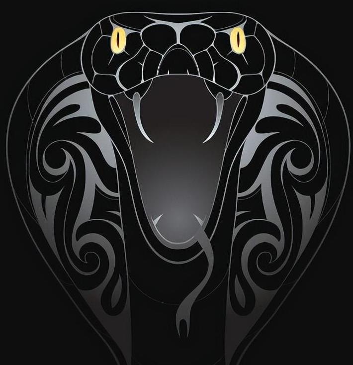 眼镜王蛇吞掉了条蟒蛇,眼镜王蛇生吞