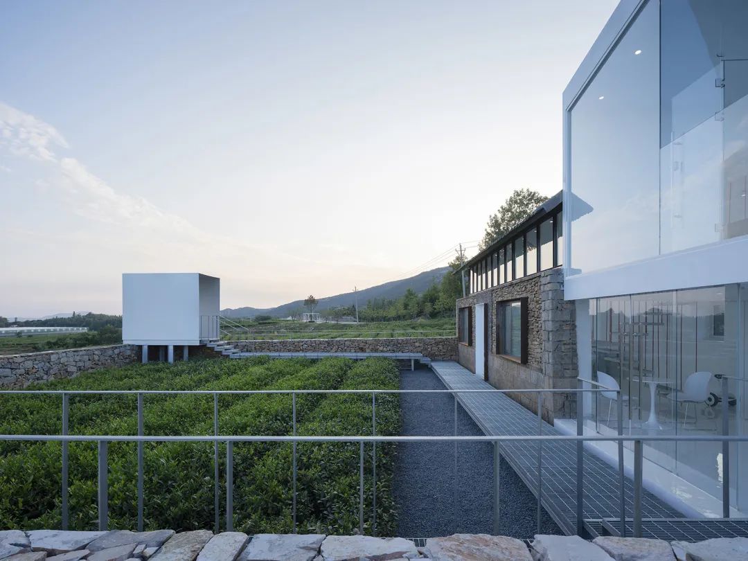 中国茶申遗成功吗,中国茶申遗成功44项名单