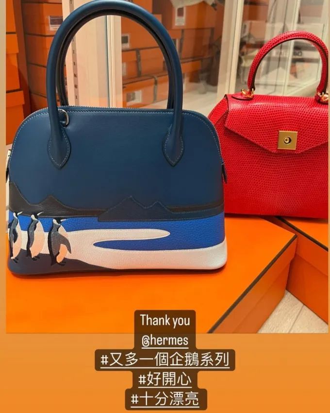 最贵的爱马仕包包前十名,全球十大最贵爱马仕包包