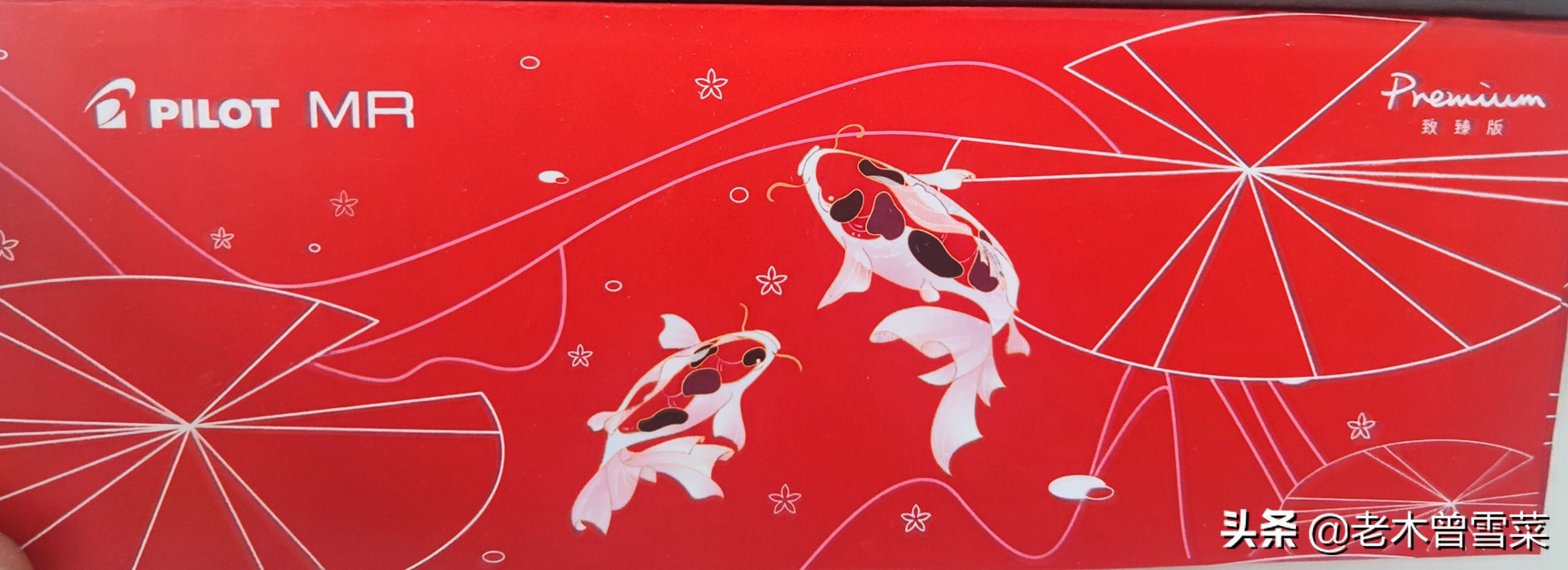 从零开始学书法钢笔字,初学钢笔字用1.0正确吗