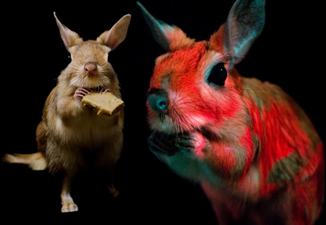 你最喜欢哪张合照,你最喜欢哪张照