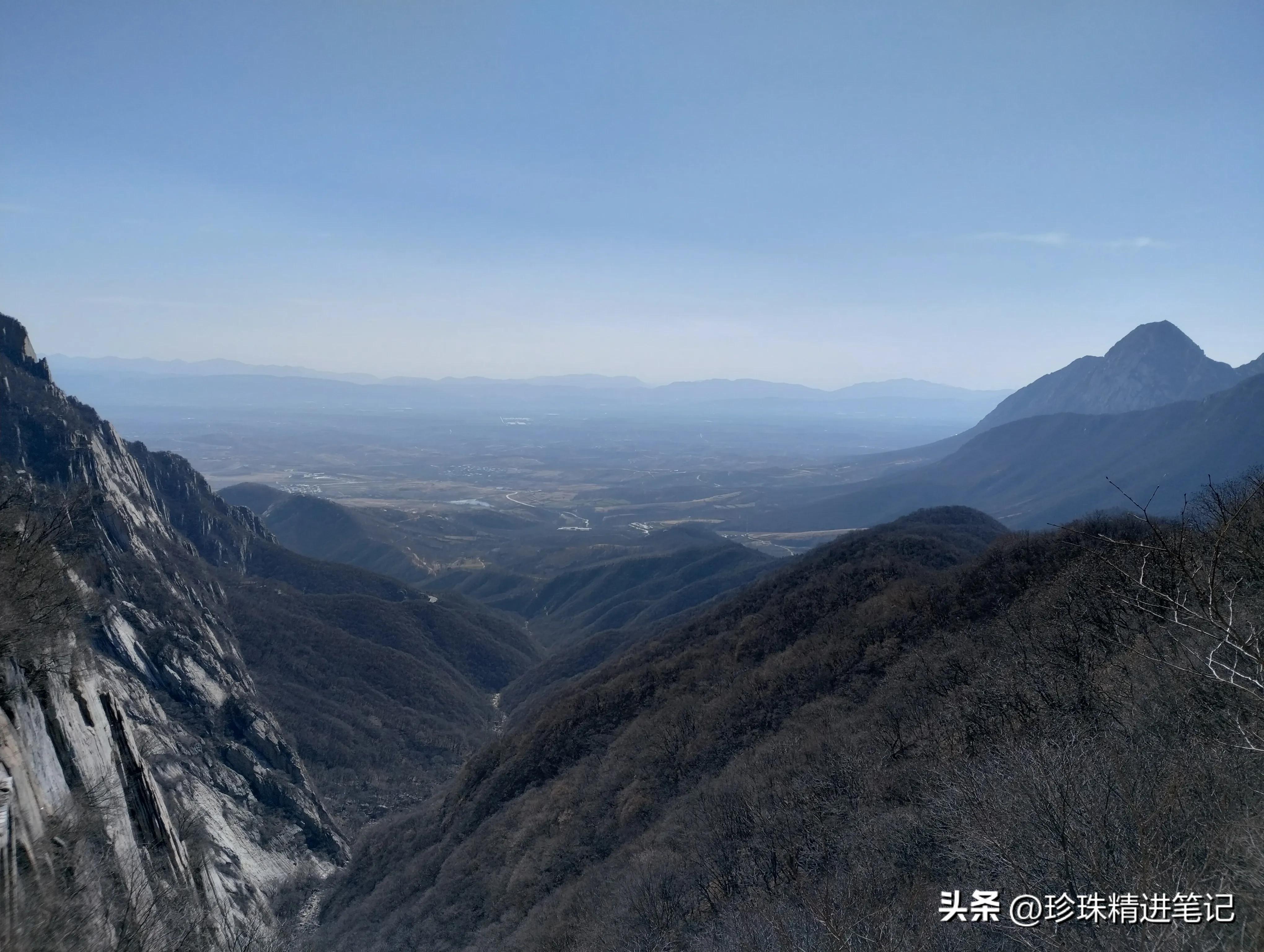 河南小男孩导游,导游赚钱真相揭秘