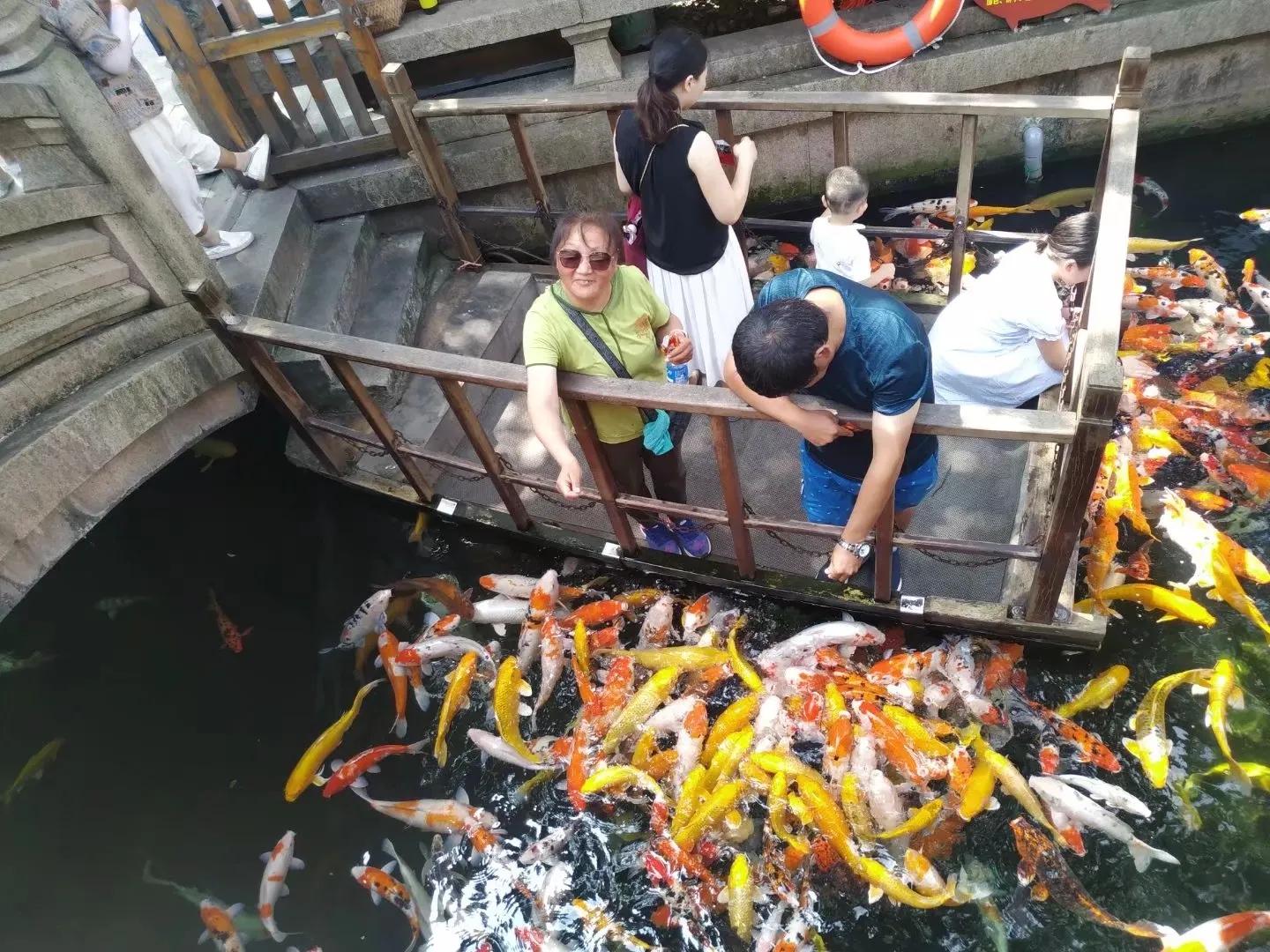 黄山旅游攻略北京,北京黄山自驾游线路攻略