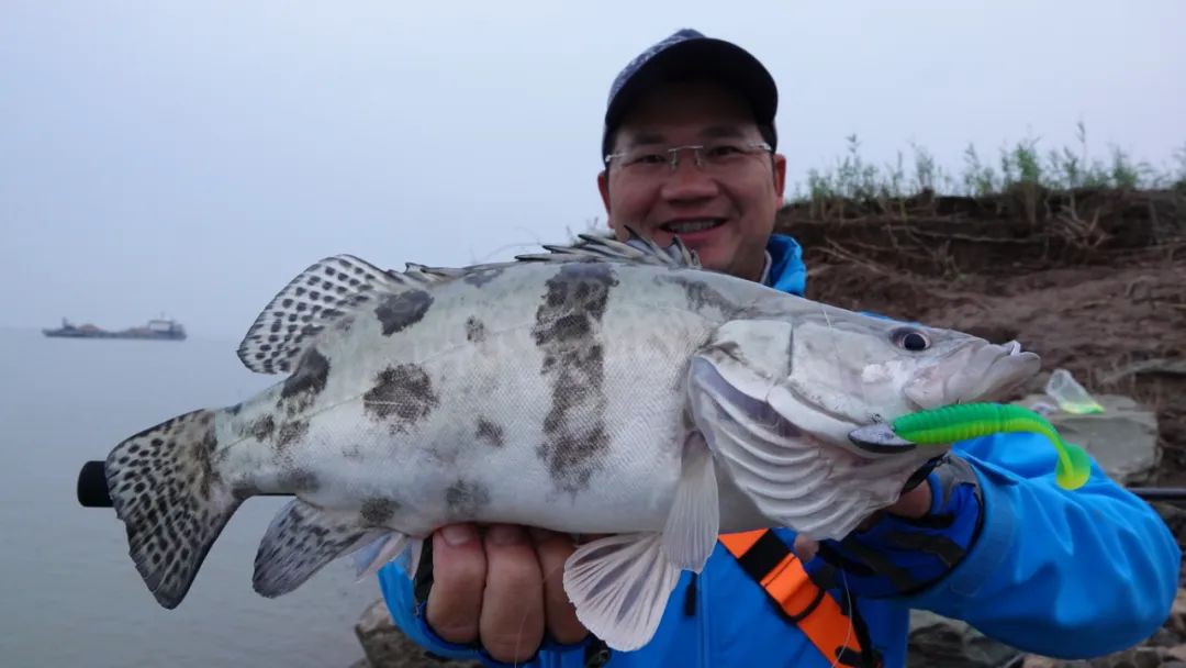 干货|野心实战摸石头跳鳜，带线控饵下沉是什么操控？