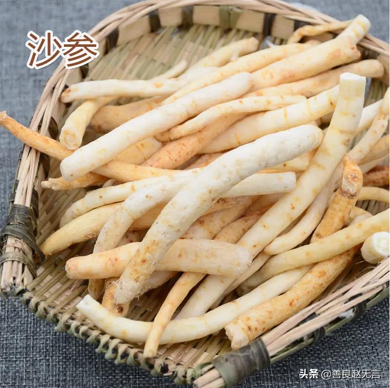 沙参开花了可以吃,沙参和沙参花