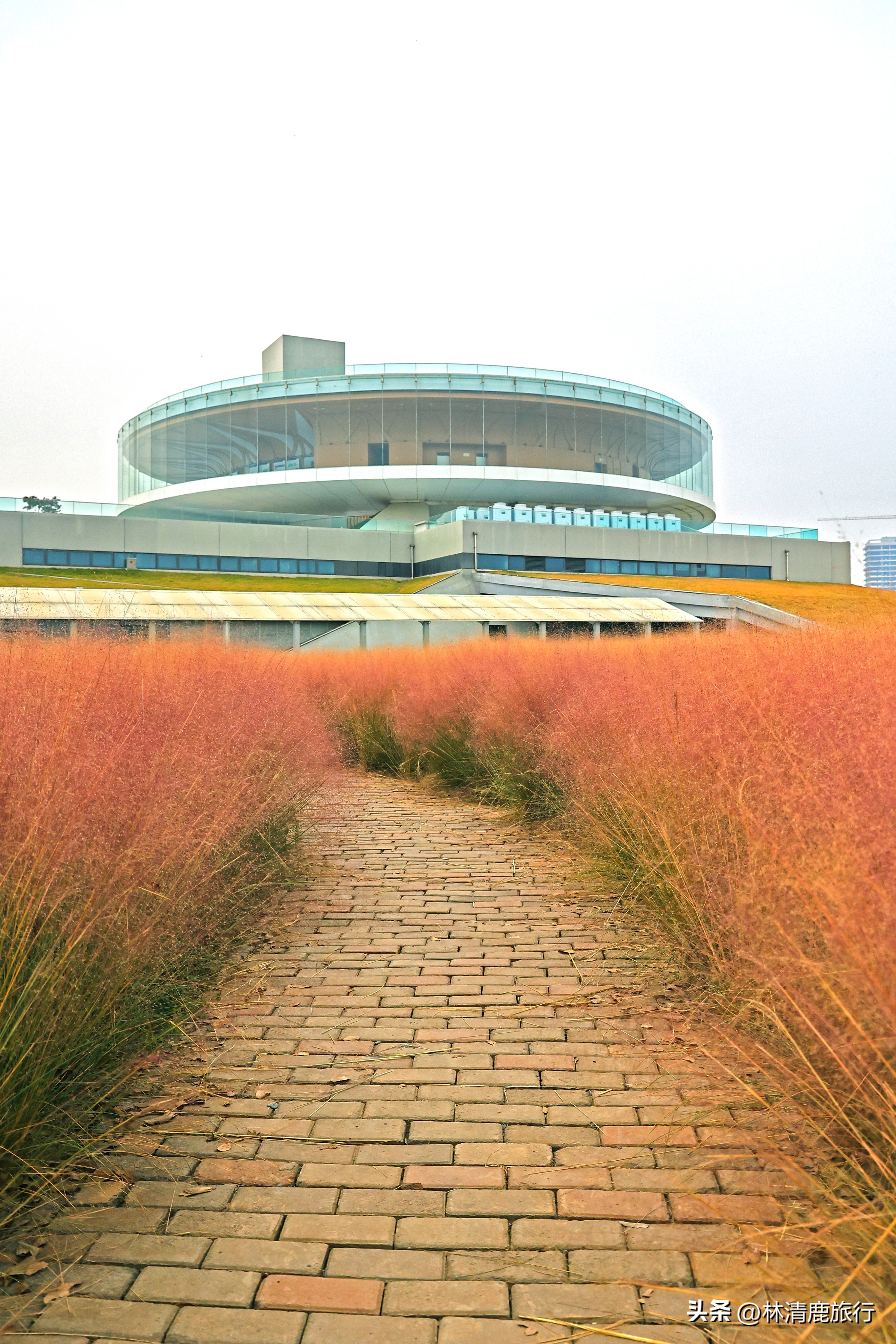 郑州秋日赏秋推荐,郑州坐地铁可达的赏秋好去处