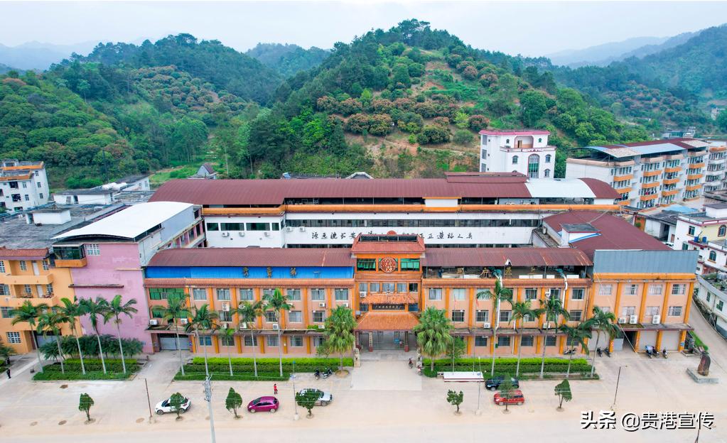 霸气！贵港这家药企连续12年上榜中国最具价值品牌500强