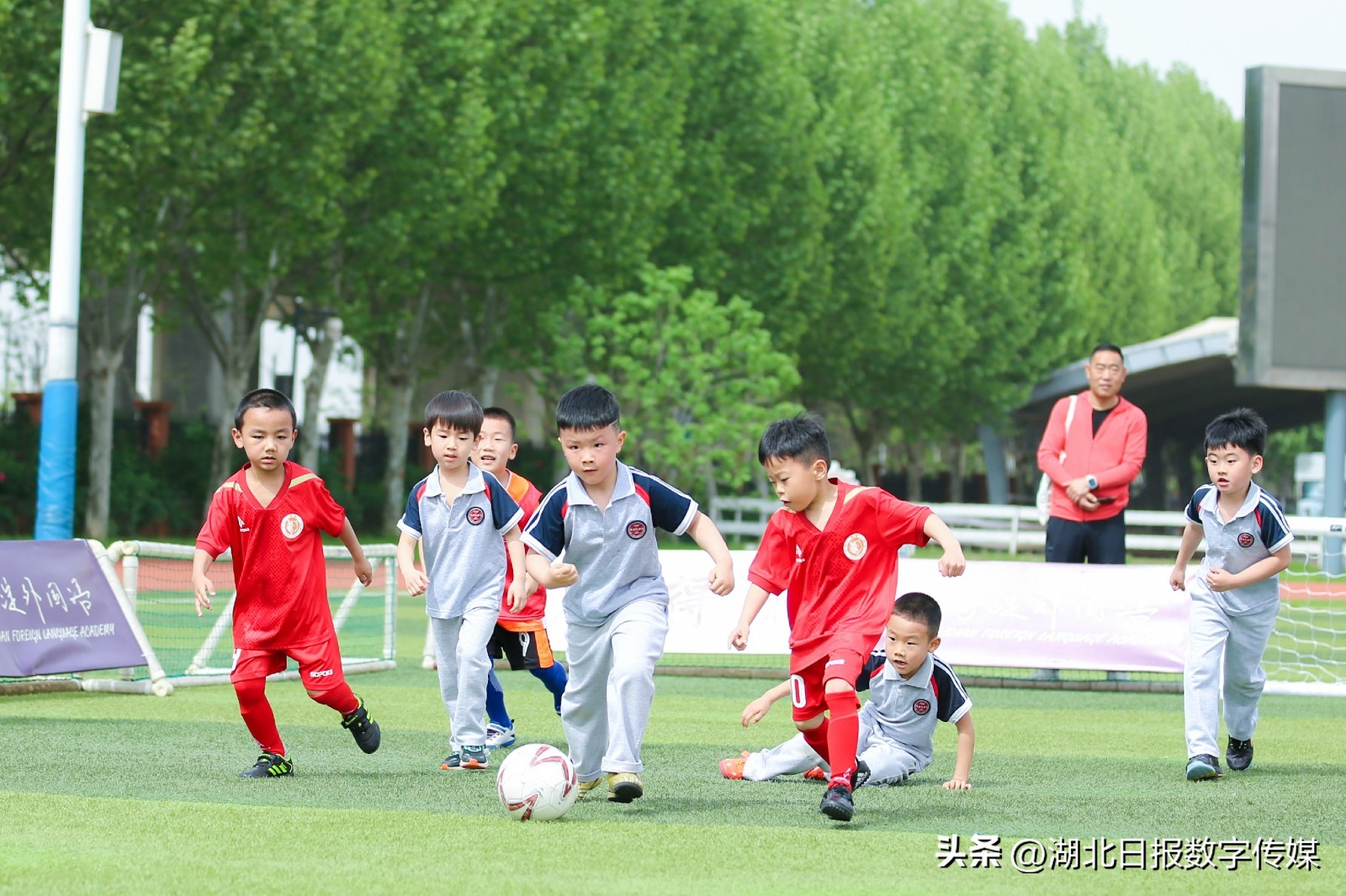 幼儿园孩子踢足球创意视频,足球比赛萌娃看台