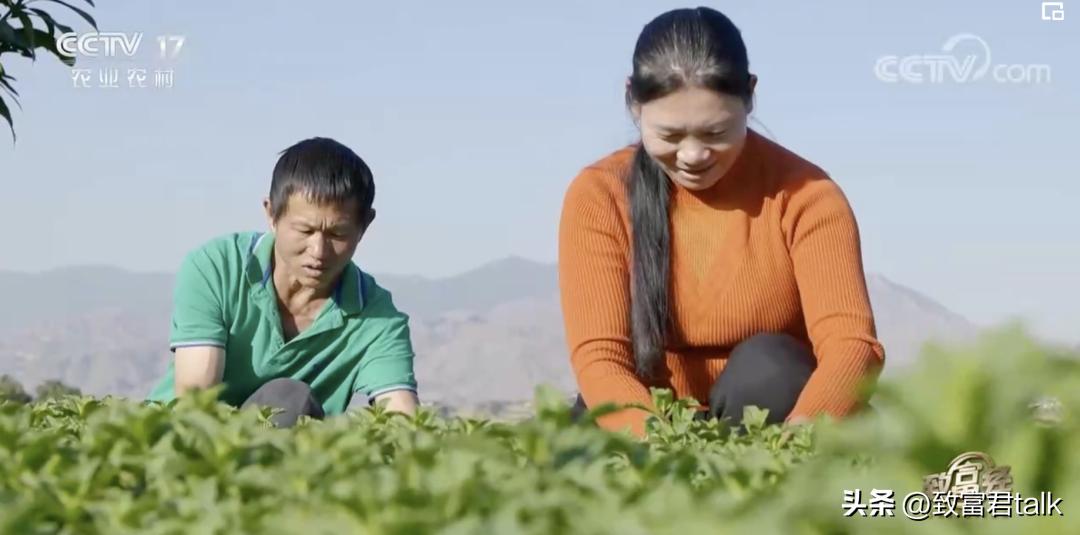 最想去打卡的早餐,藏在西南的小县城里,年产值上亿了