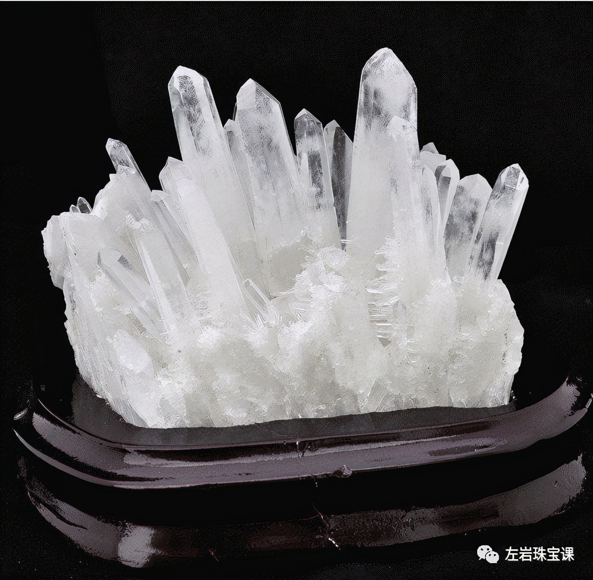 左岩的简介,左岩的最新图片