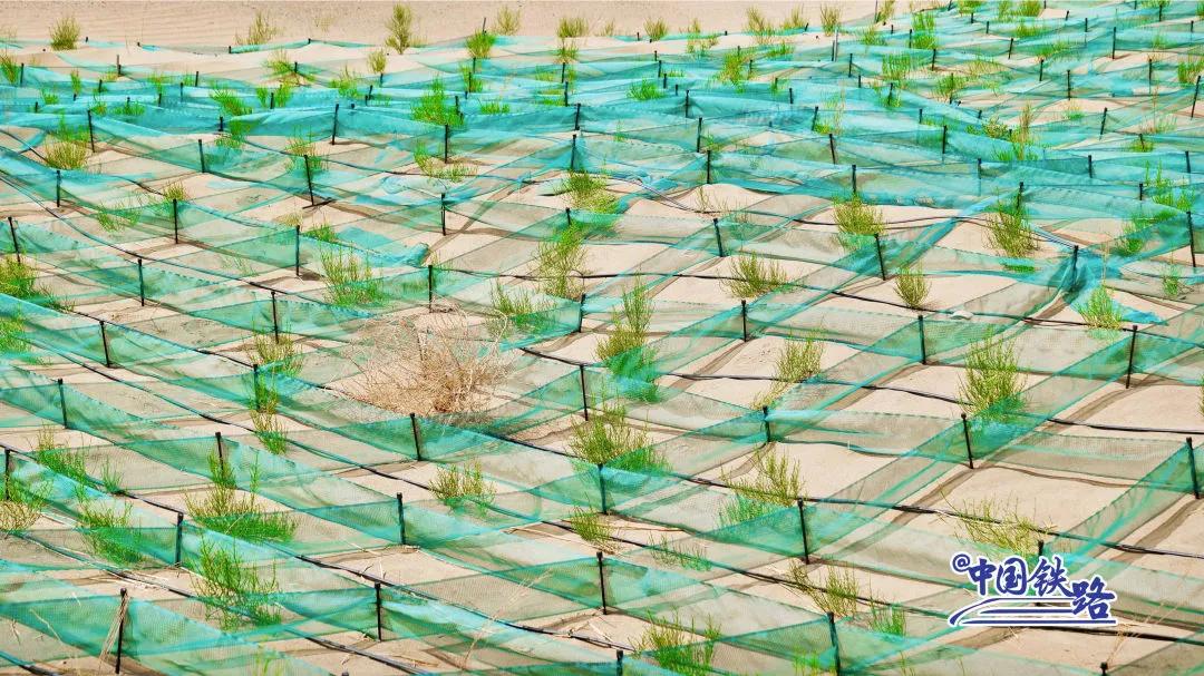 2019几号去金塔胡杨林,去金塔胡杨林