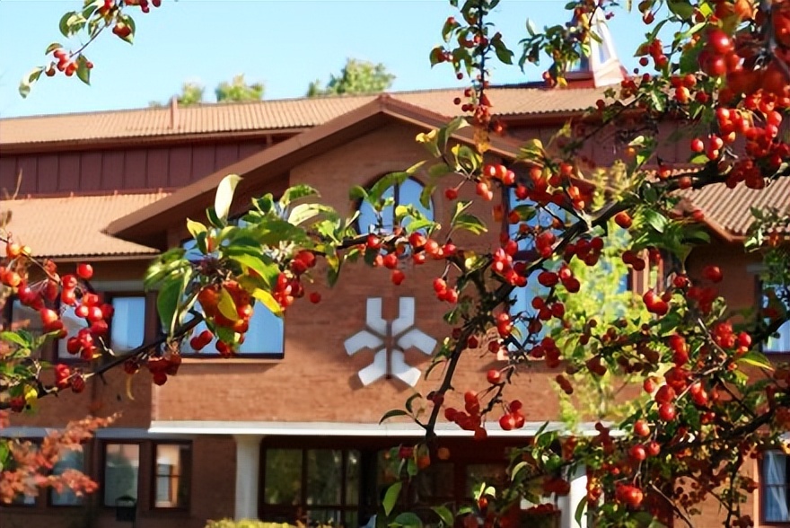 林雪平大学位置,瑞典林雪平大学