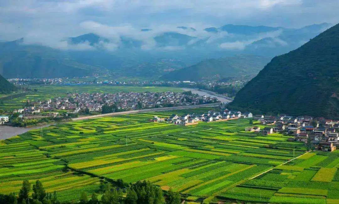 当归人参干姜,当归人参柴胡白芍