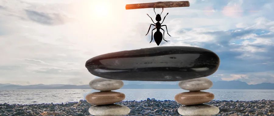 松动的政策能让旅行社在暑假“咸鱼翻身”吗？