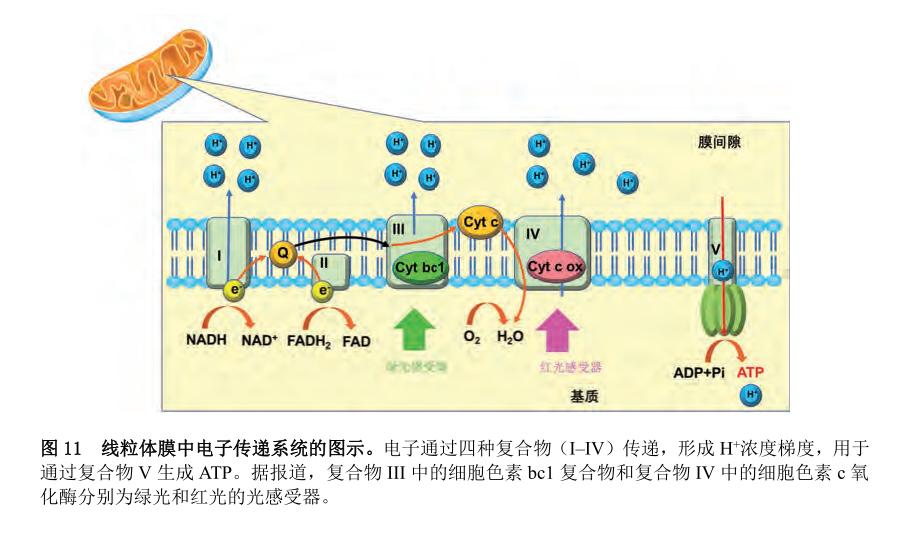 超实用的防晒,最好用的防黑防晒