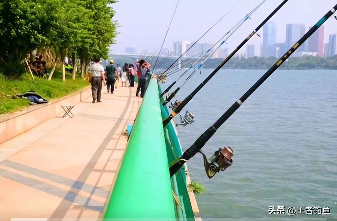 柳州柳江钓鱼人,柳州附近免费野钓