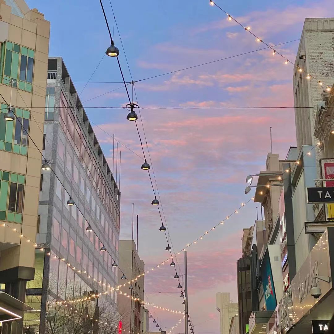 正清园小说项目怎么样,正清园