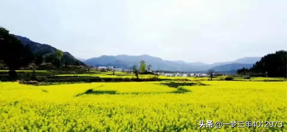 豪爵uhr150踏板水冷极速多少,豪爵uhr150踏板最新评测