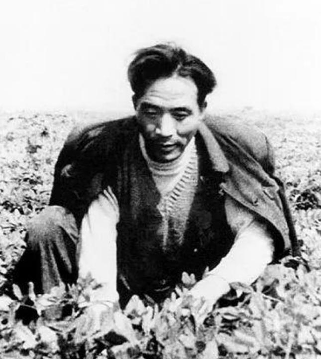 焦裕禄兰考葬礼真实场面,兰考县焦裕禄怎么去世的