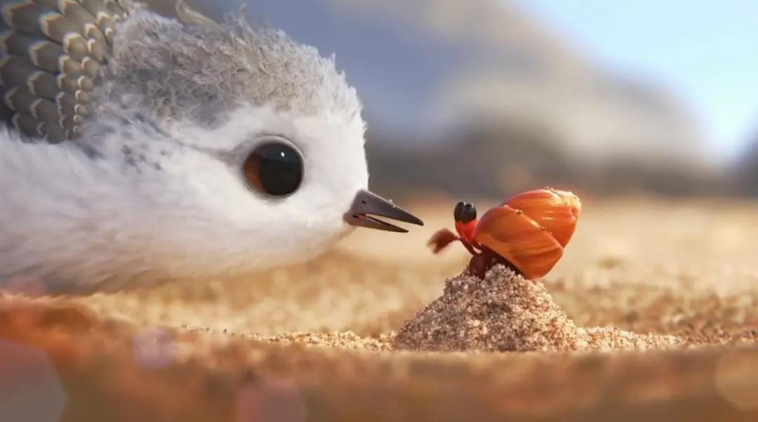 皮克斯动画5分钟,皮克斯教你成长动画短片