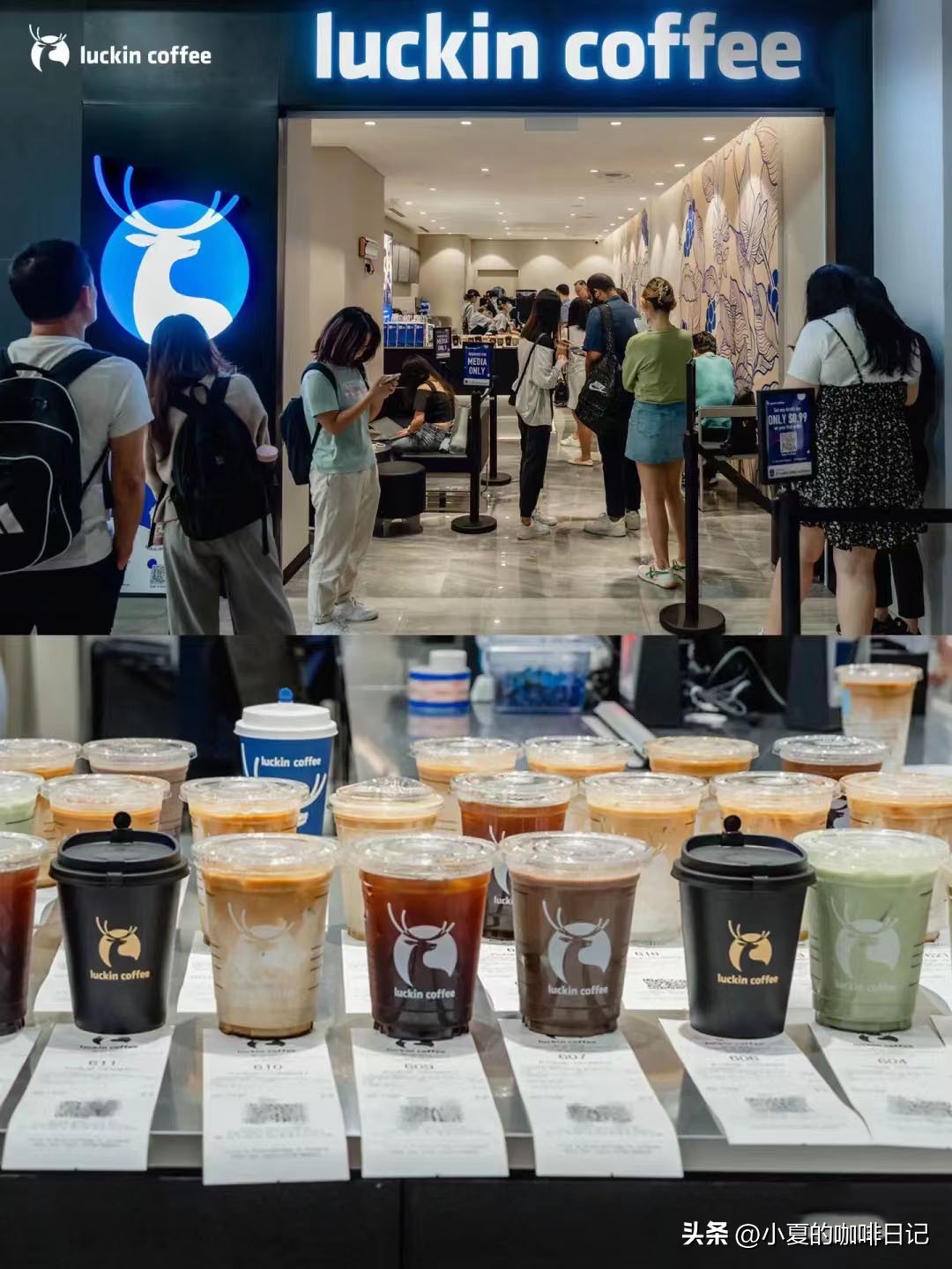 咖啡加盟的负面消息这么多，我们还要不要加盟