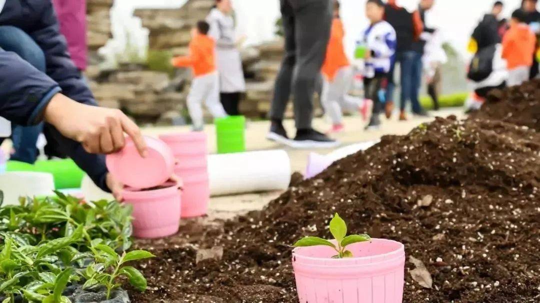 金坛非遗体验,非遗研学沉浸式体验非遗魅力