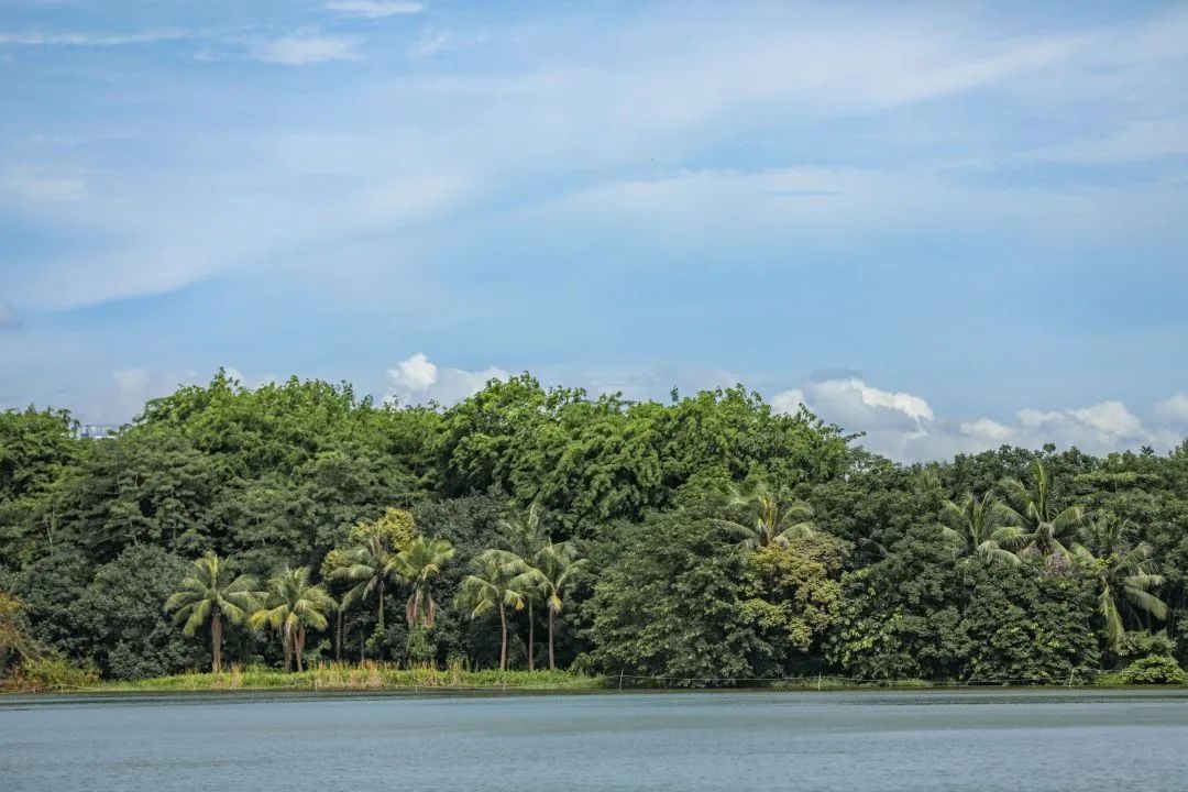 我为什么建议你留在一线城市,我为什么推荐你一定考北邮