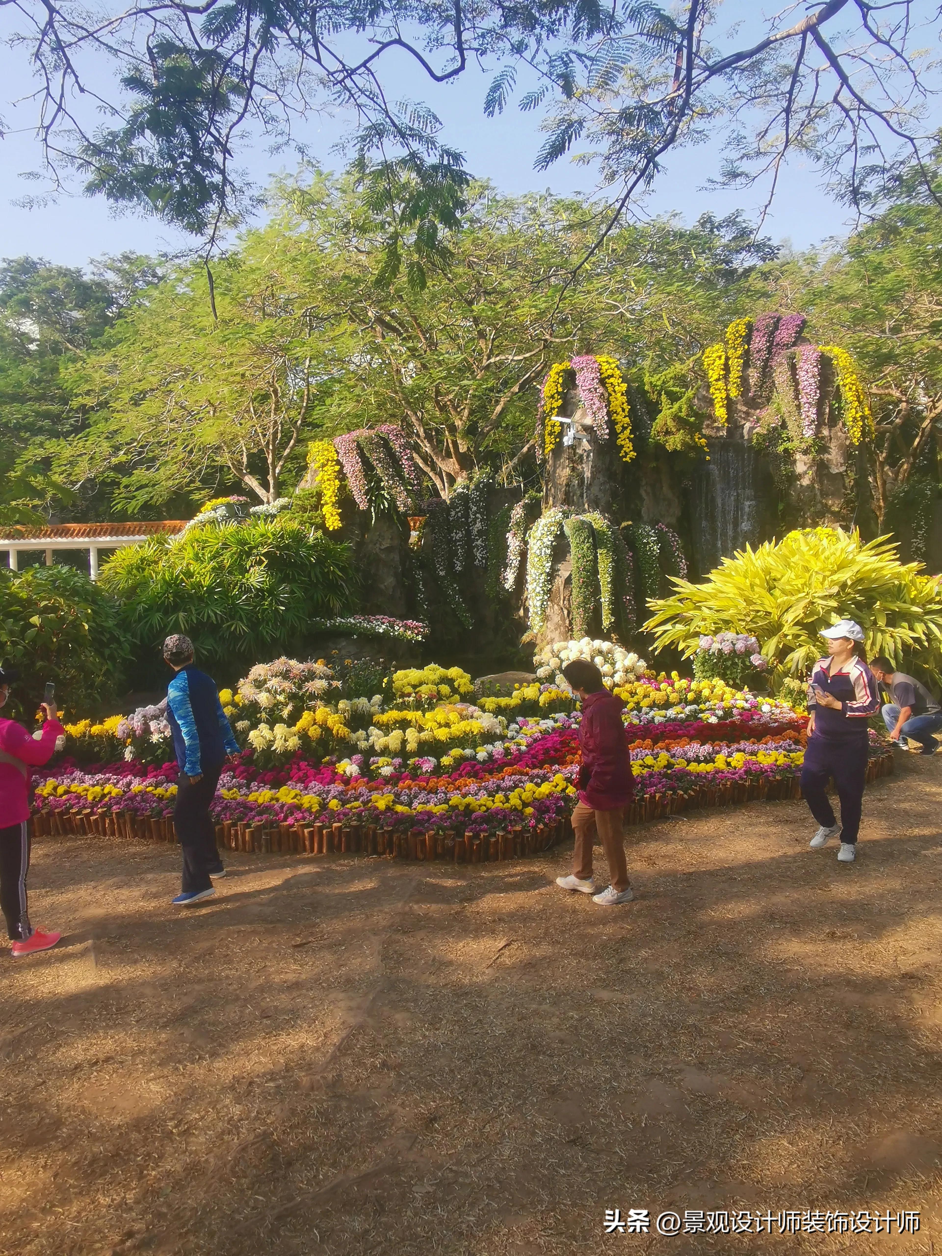 深圳市东湖公园广场舞,深圳市东湖公园收费标准