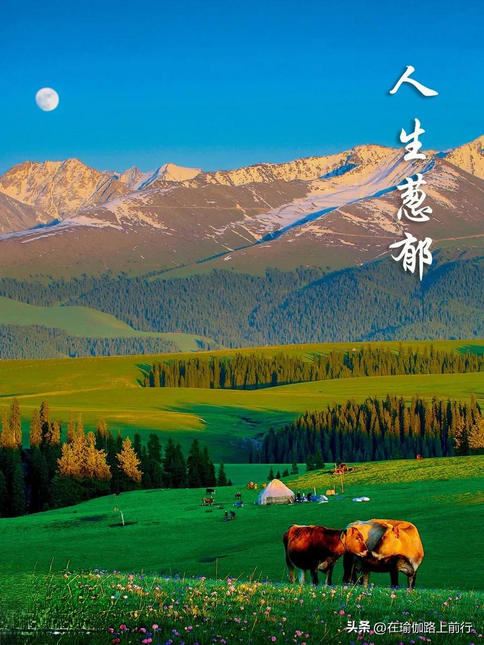 如何面对别人对自己发脾气,如何面对发脾气的人