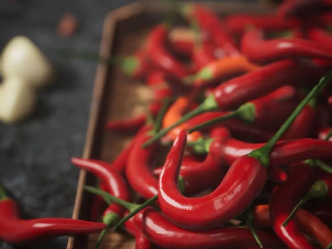 Moments｜创业者的2022：Recharge，劫后新生，海葵复苏了