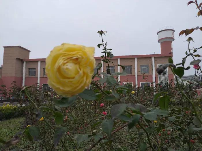 画与景,幼儿长卷画景