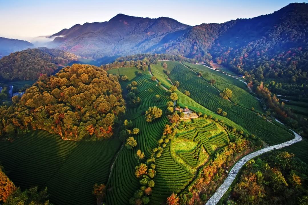 适合杭州风景的头像,杭州美景头像