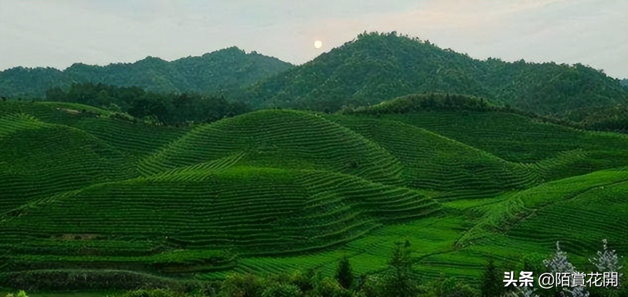 南平建阳是否有发展,南平融入新发展格局