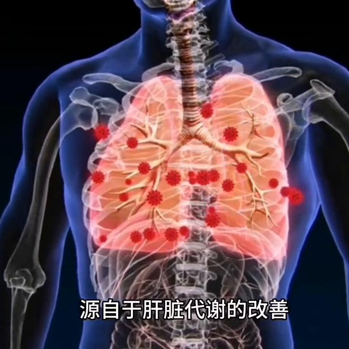 酸奶减脂期能喝哪些酸奶,减脂期喝无糖酸奶跟有糖酸奶