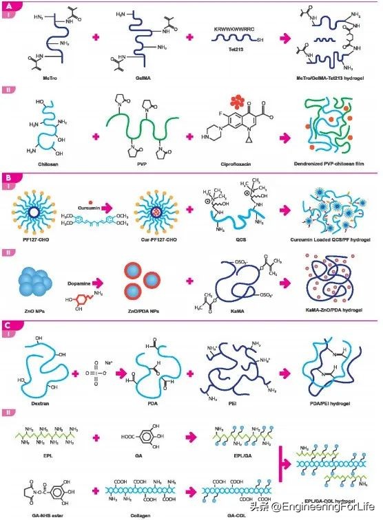 《AM》综述：对具有抗菌性能生物粘合剂的深度剖析