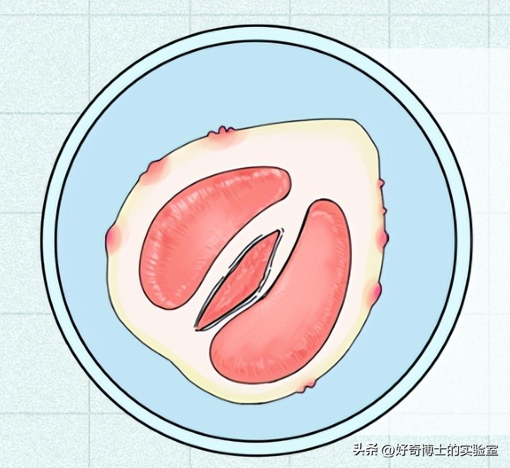 生理活动后有什么变化,生活后五个心理变化