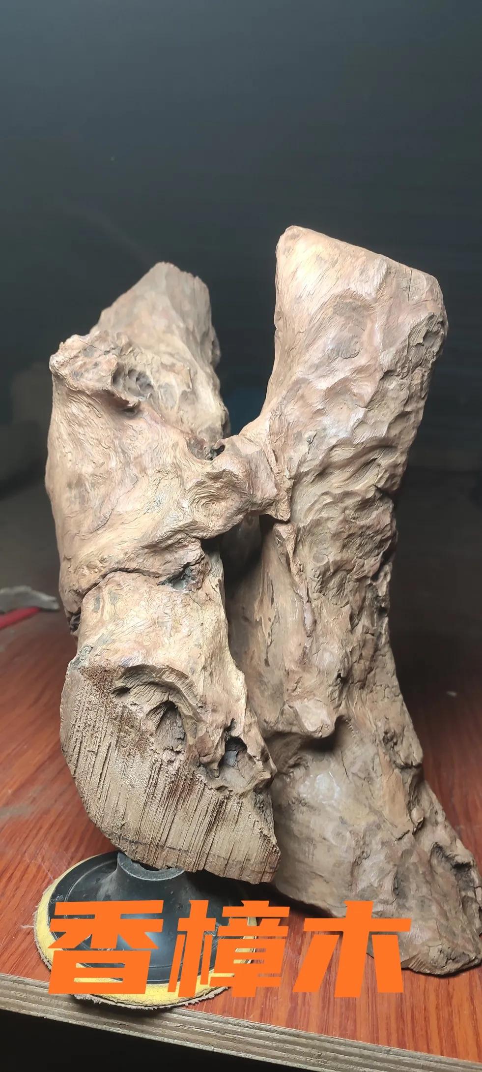 什么木头不生虫,什么木头不容易被虫咬