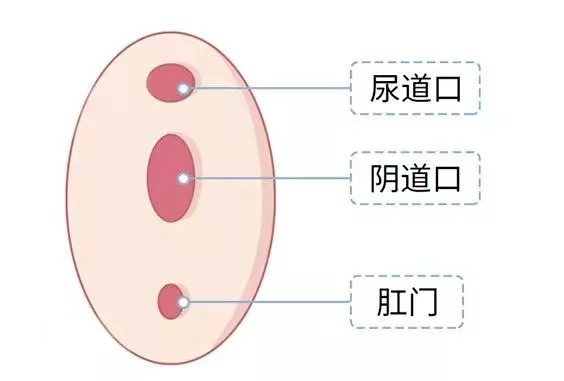 水上乐园染上妇科病,去水上乐园玩感染妇科病的症状