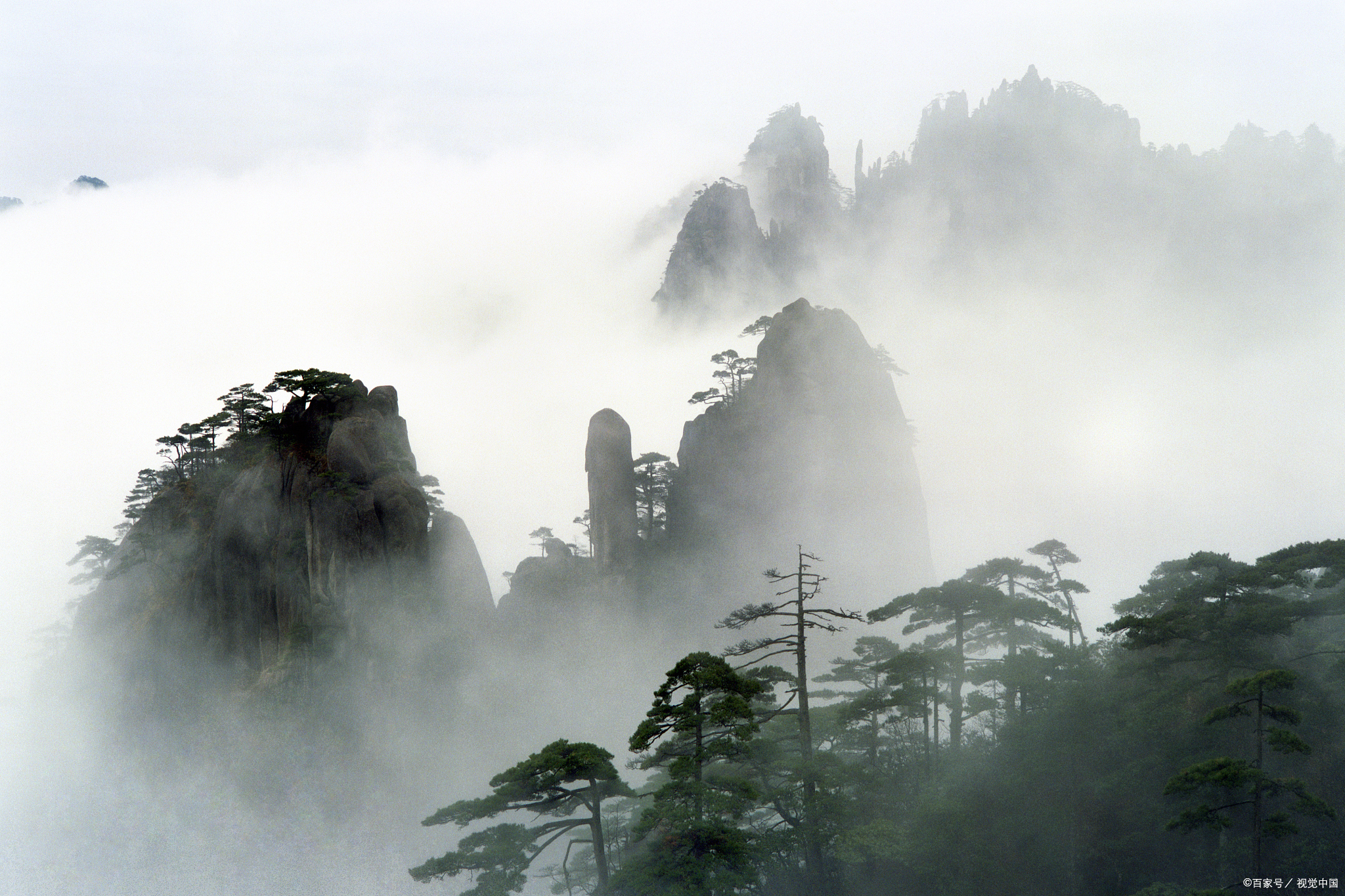 合肥报团旅游攻略最新报价,合肥跟旅游团到黄山多少钱