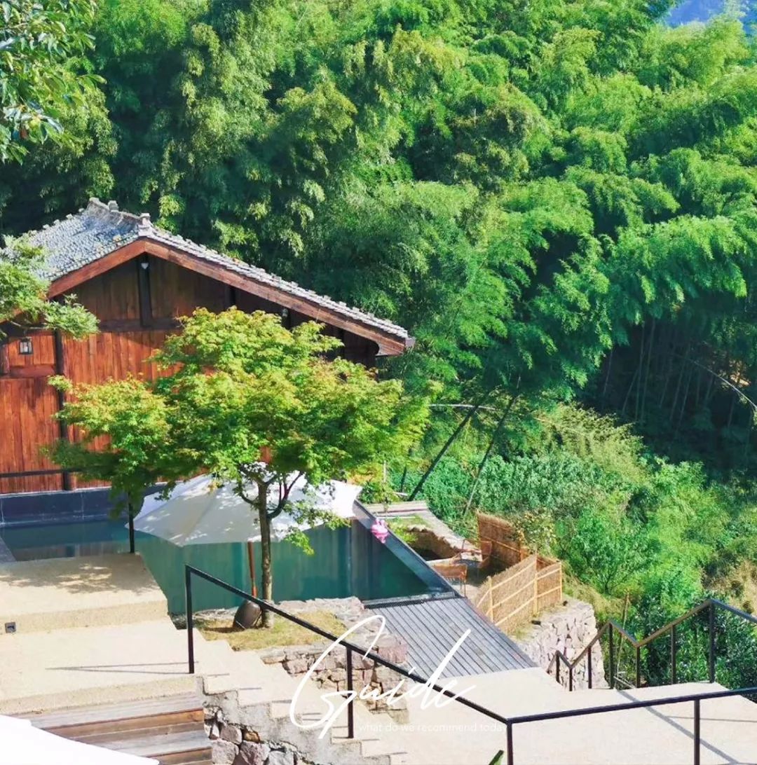 丽水松阳最好的民宿,松阳顶级民宿排名