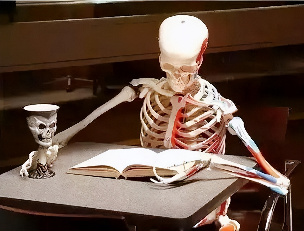 印度人贩卖骨头是为了干嘛,印度毛骨悚然的人骨工厂