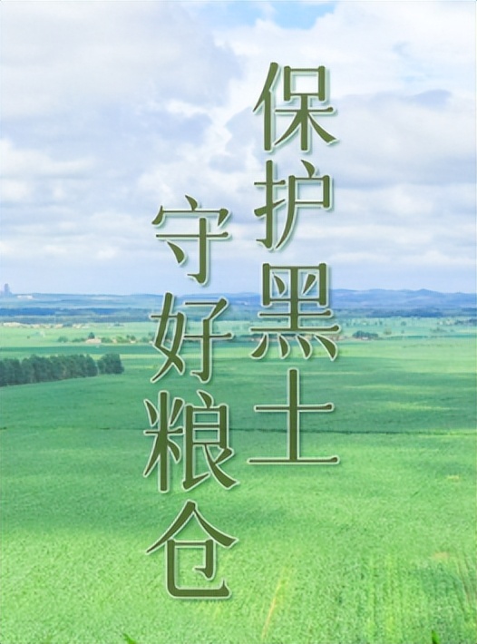 是谁在砸中国人的饭碗？400年才形成的黑土，4元一斤在网上被盗卖