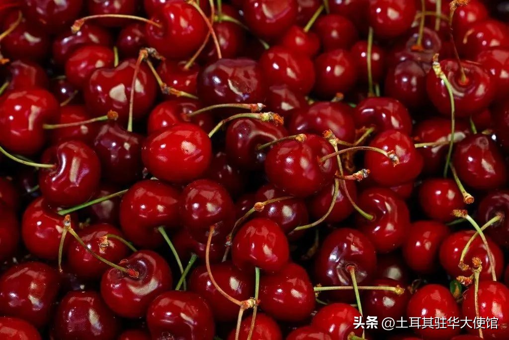 土耳其吃什么水果好,随季节变化而多吃应季食品