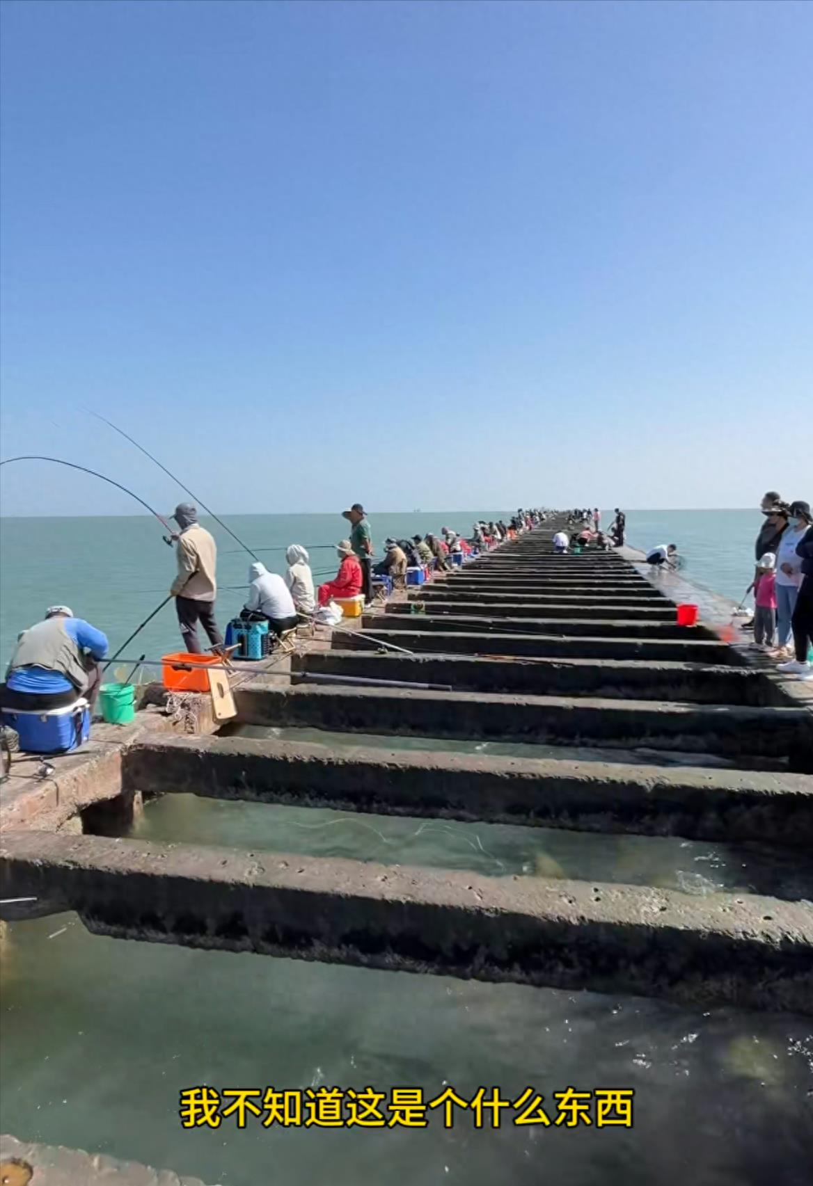 黑天鹅蛋糕价格999万,黑天鹅蛋糕上亿