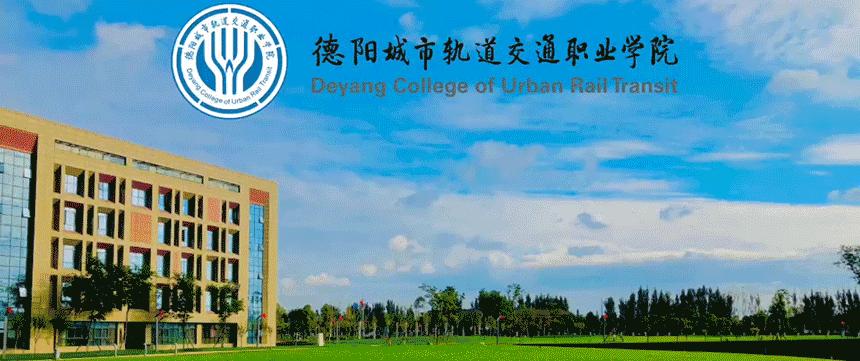 迎新杯足球比赛圆满闭幕,迎新杯赛事展现自我激情逐梦