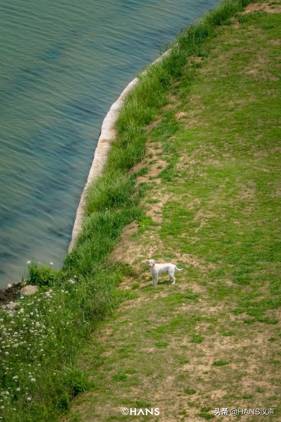过隐！种花养鱼武汉人