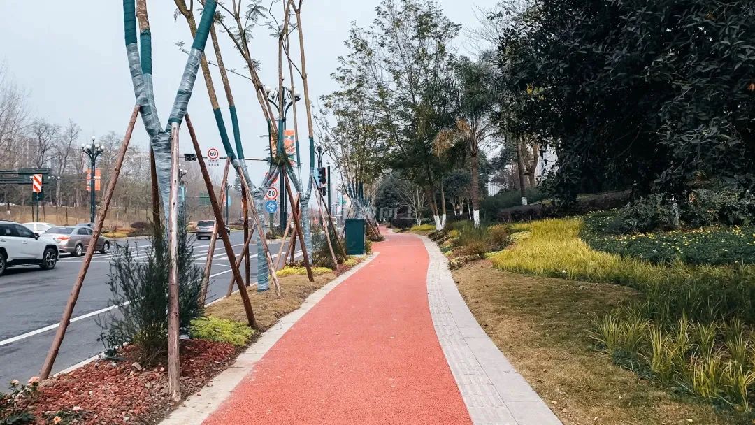 熊猫基地扩建园区,熊猫基地扩建最新