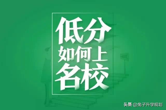 史上最全高考志愿填报技巧,如何正确填报高考志愿表流程